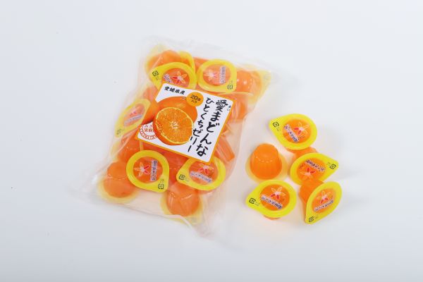 愛まどんなゼリー20個入り　　　　送料800円