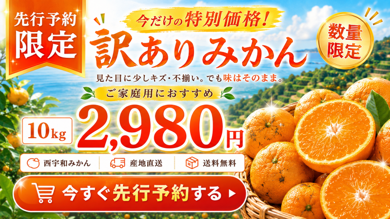 「11月5日～順次発送」訳アリみかん10㎏