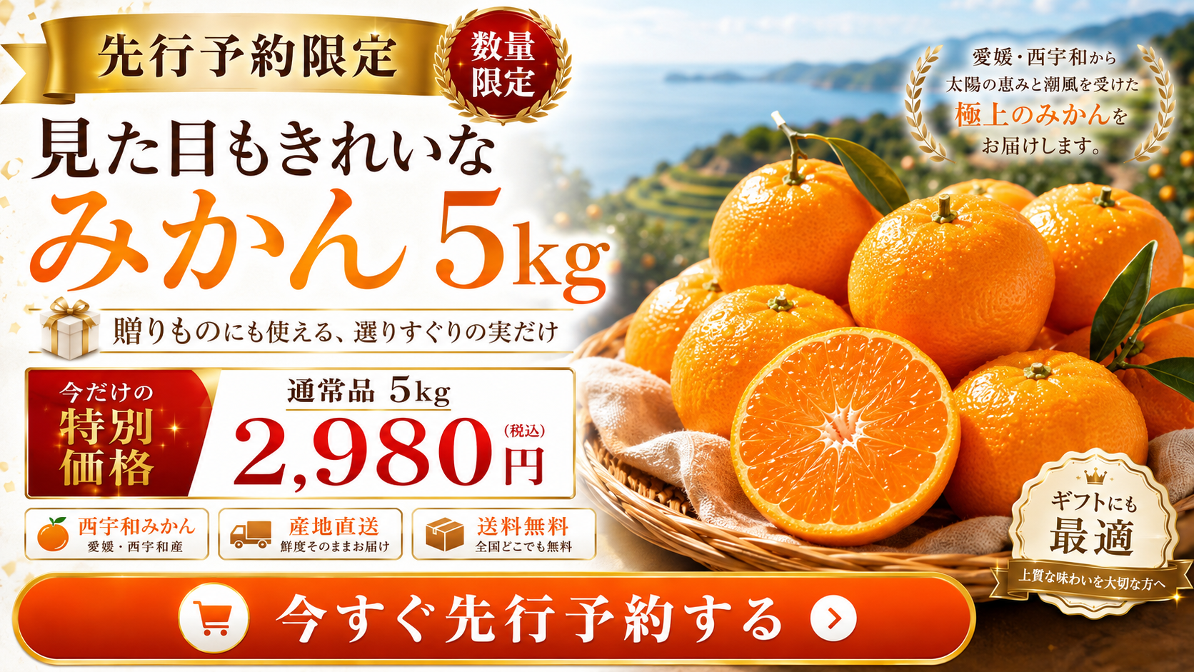 「11月5日から順次発送」西宇和産みかん5㎏（サイズ選別）