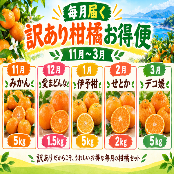 訳あり柑橘定期便