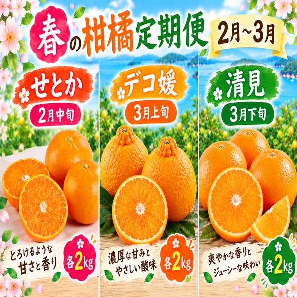 【予約受付中】春の柑橘定期便　2㎏コース