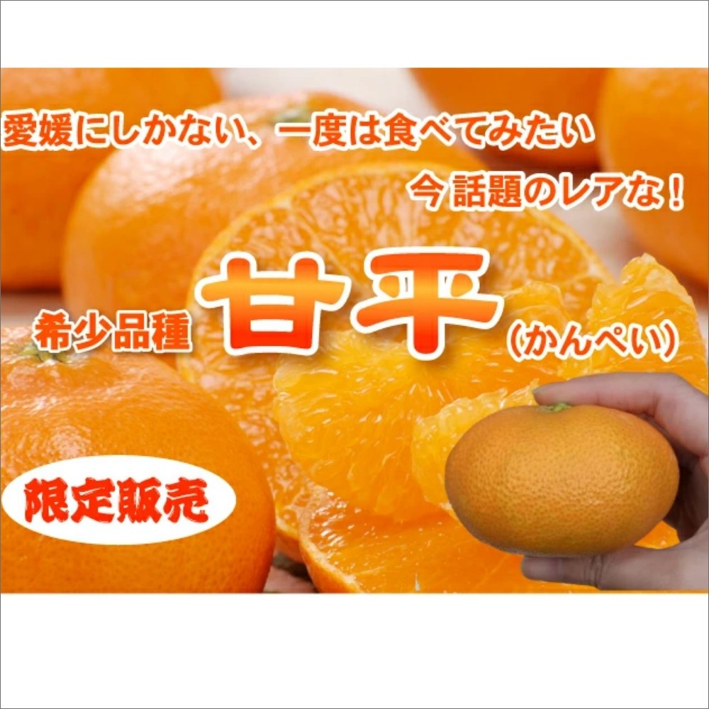 1月下旬から順次発送　愛媛限定の甘平