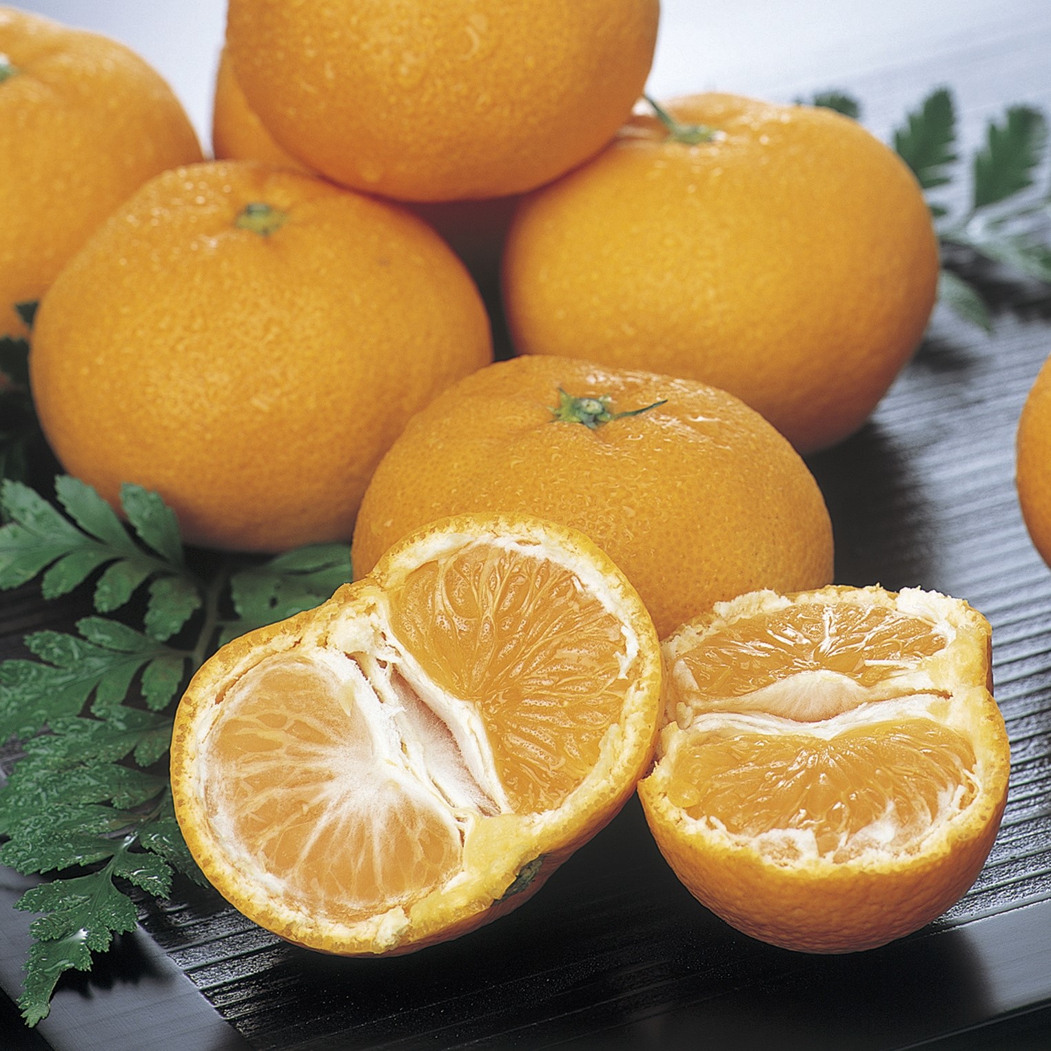 訳アリみかん10㎏