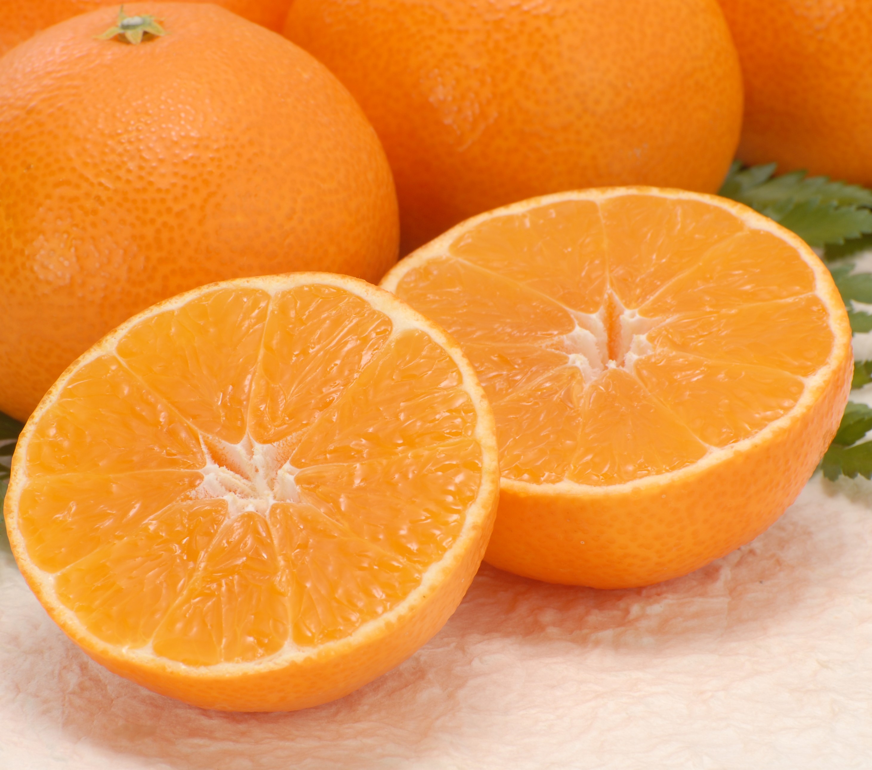 訳あり愛まどんな5㎏