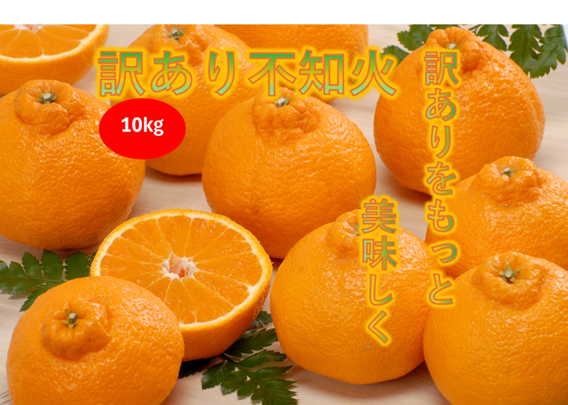 「2月下旬～順次発送」訳あり不知火 10kg