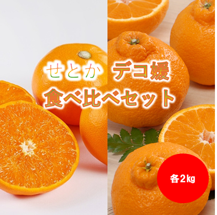 「2月20日～順次発送せとか・デコ媛各2㎏の計4㎏夢のコラボ